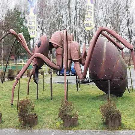 Appartementhaus In 트라센하이드